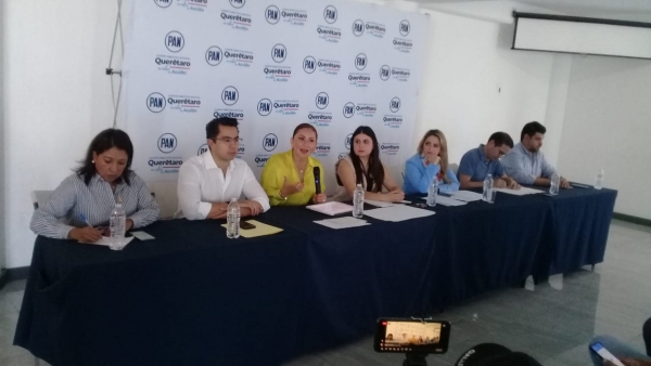 Diputados federales del PAN denunciarán a Mario Delgado y Citlalli Hernández por "daño moral"