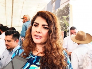 Las observaciones son administrativas, no penales: Iliana Montes